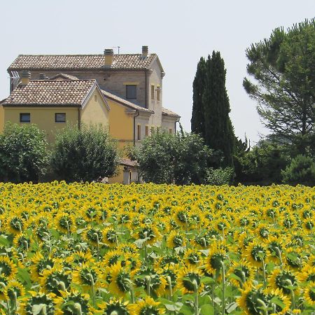 Alla Bigattiera Osimo Esterno foto